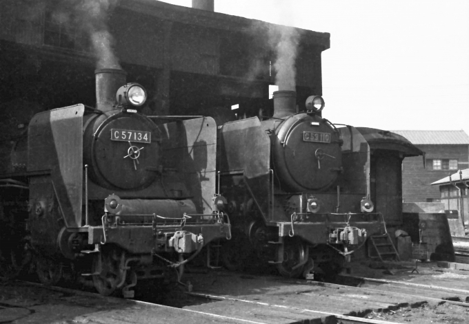 鉄道フォト・写真：国鉄C57形蒸気機関車 左側はC57 134  右側はC59 110 尾久機関区 鉄道フォト・写真 by 鉄道のお爺さんさん - 撮影日 1961/11/03 00:00