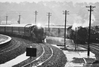 国鉄C62形蒸気機関車 特急「ひたち」 左側はC62 44　右側はC62 11 鉄道フォト・写真 by 鉄道のお爺さんさん ：1965年06月10日00時ごろ