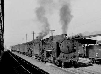 国鉄D51形蒸気機関車 D51 33+D51 鉄道フォト・写真 by 鉄道のお爺さんさん ：1962年08月16日00時ごろ