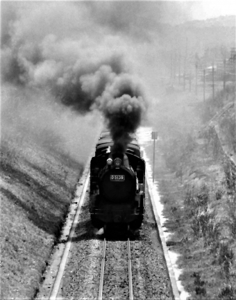 国鉄D51形蒸気機関車 D51 39 鉄道フォト・写真 by 鉄道のお爺さんさん ：1964年07月03日00時ごろ
