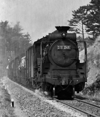 国鉄D51形蒸気機関車 D51 248 鉄道フォト・写真 by 鉄道のお爺さんさん ：1965年05月27日00時ごろ