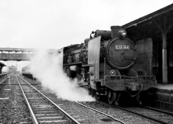 国鉄C51形蒸気機関車 C51 164 鉄道フォト・写真 by 鉄道のお爺さんさん ：1962年08月14日00時ごろ