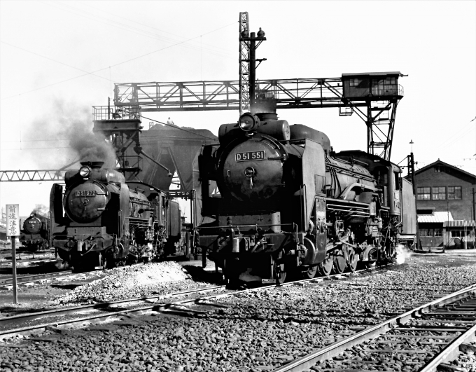 国鉄D51形蒸気機関車 D51 551とD51 672 水戸機関区 鉄道フォト・写真 