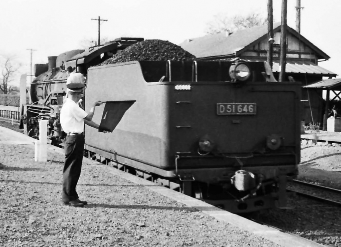 国鉄D51形蒸気機関車 D51 646 鉄道フォト・写真 by 鉄道のお爺さんさん ：1961年09月23日00時ごろ
