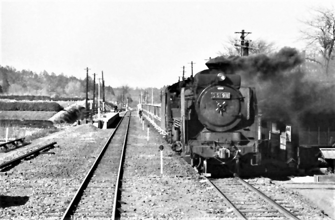 国鉄D51形蒸気機関車 D51 911 鉄道フォト・写真 by 鉄道のお爺さんさん ：1961年03月21日00時ごろ