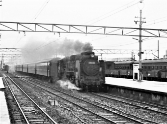 国鉄D51形蒸気機関車 D51 180 鉄道フォト・写真 by 鉄道のお爺さんさん ：1964年10月25日00時ごろ