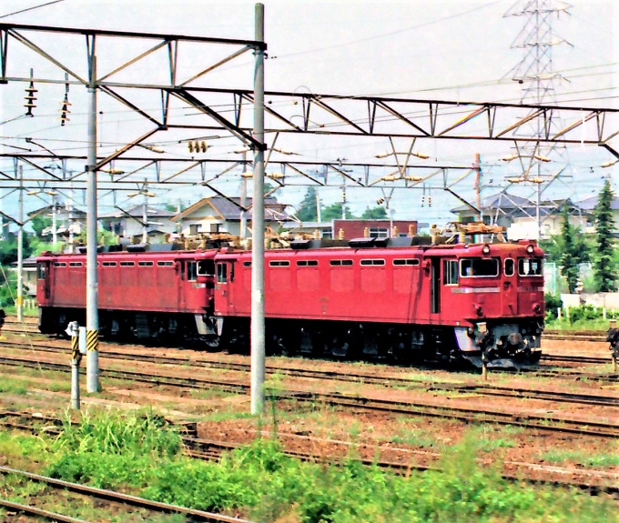 国鉄ED78形電気機関車 ED78+ED78 鉄道フォト・写真 by 鉄道のお爺さんさん ：1984年08月19日00時ごろ