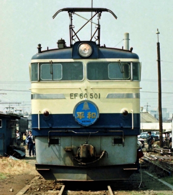 国鉄EF65形電気機関車 EF65 501 鉄道フォト・写真 by 鉄道のお爺さんさん ：1985年03月24日00時ごろ