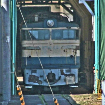 JR東日本 国鉄EF60形電気機関車 EF60 510 鉄道フォト・写真 by 鉄道のお爺さんさん ：2011年04月05日13時ごろ