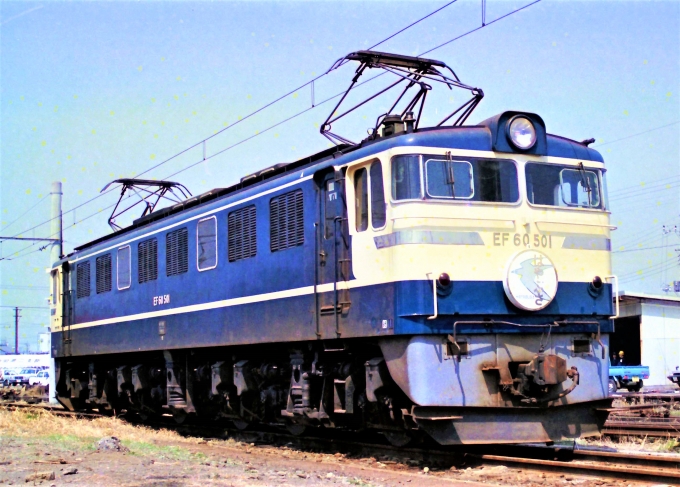 国鉄EF60形電気機関車 EF60 501 鉄道フォト・写真 by 鉄道のお爺さんさん ：1985年03月24日00時ごろ