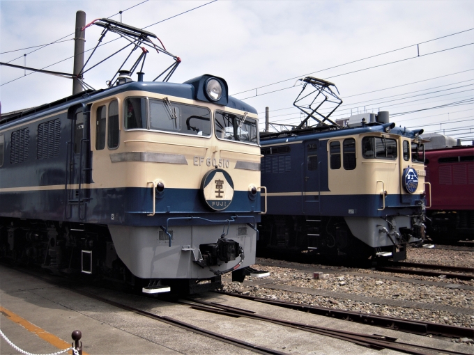 JR東日本 国鉄EF60形電気機関車   国鉄EF65形電気機関車 EF60 510　EF65 1115 鉄道フォト・写真 by 鉄道のお爺さんさん ：2013年05月25日10時ごろ