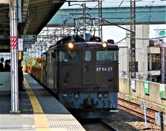 JR東日本 国鉄EF64形電気機関車 EF64 37 鉄道フォト・写真 by 鉄道のお爺さんさん ：2011年04月26日11時ごろ