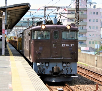 JR東日本 国鉄EF64形電気機関車 EF64 37 鉄道フォト・写真 by 鉄道のお爺さんさん ：2011年04月26日11時ごろ