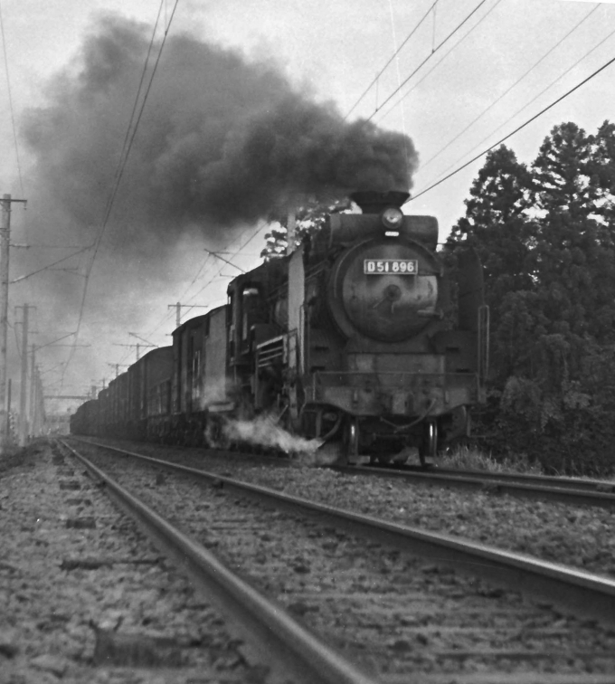 国鉄D51形蒸気機関車 D51 896 鉄道フォト・写真 by 鉄道のお爺さんさん ：1960年10月16日00時ごろ