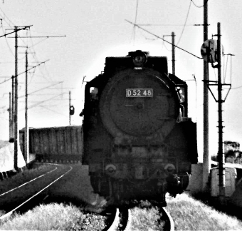国鉄D52形蒸気機関車 D52 48 鉄道フォト・写真 by 鉄道のお爺さんさん ：1964年08月27日00時ごろ
