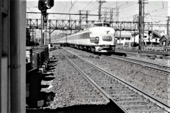 国鉄151系電車 クロ151形(Tsc) クロ151 鉄道フォト・写真 by 鉄道のお爺さんさん ：1964年08月15日00時ごろ