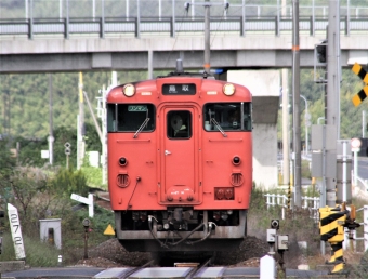 JR西日本 キハ47形 キハ47 14 鉄道フォト・写真 by 鉄道のお爺さんさん ：2015年10月06日10時ごろ