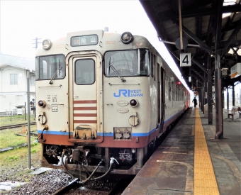 JR西日本 キハ40形 キハ40 2036 鉄道フォト・写真 by 鉄道のお爺さんさん ：2017年04月11日13時ごろ