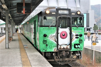 JR西日本 キハ40形 キハ40 2095 鉄道フォト・写真 by 鉄道のお爺さんさん ：2012年11月29日10時ごろ