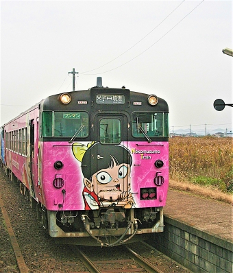 JR西日本 キハ40形 キハ40 2094 鉄道フォト・写真 by 鉄道のお爺さんさん ：2012年11月29日11時ごろ
