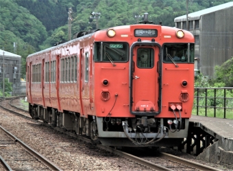 JR西日本 キハ47形 キハ47 2 鉄道フォト・写真 by 鉄道のお爺さんさん ：2017年05月10日11時ごろ