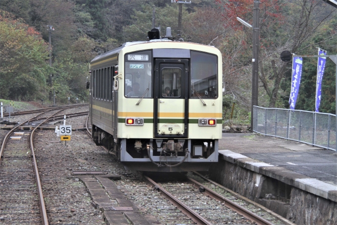 JR西日本 キハ120形 キハ120-5 鉄道フォト・写真 by 鉄道のお爺さんさん ：2016年11月06日14時ごろ