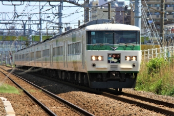 JR東日本 クハ185形 クハ185-1 鉄道フォト・写真 by 鉄道のお爺さんさん ：2016年05月05日10時ごろ