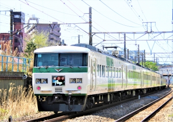 JR東日本 クハ185形 クハ185-8 鉄道フォト・写真 by 鉄道のお爺さんさん ：2014年04月12日10時ごろ