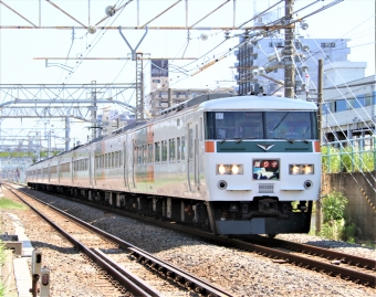 JR東日本 クハ185形 クハ185-1 鉄道フォト・写真 by 鉄道のお爺さんさん ：2013年05月05日10時ごろ