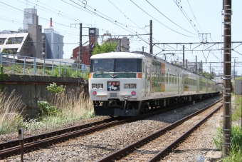 JR東日本 クハ185形 クハ185-101 鉄道フォト・写真 by 鉄道のお爺さんさん ：2013年05月05日10時ごろ