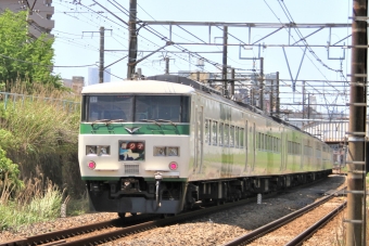 JR東日本 クハ185形 クハ185-101 鉄道フォト・写真 by 鉄道のお爺さんさん ：2016年05月05日10時ごろ