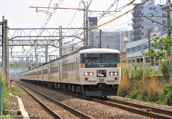 JR東日本 クハ185形 クハ185-8 鉄道フォト・写真 by 鉄道のお爺さんさん ：2014年05月03日09時ごろ