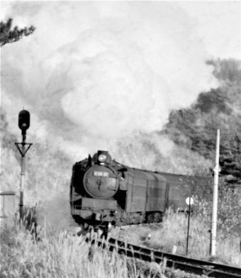 国鉄C60形蒸気機関車 Ｃ60 12 鉄道フォト・写真 by 鉄道のお爺さんさん ：1965年12月02日00時ごろ