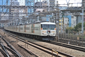 JR東日本 クハ185形 クハ185-11 鉄道フォト・写真 by 鉄道のお爺さんさん ：2013年03月23日09時ごろ