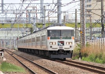 JR東日本 クハ185形 クハ185-11 鉄道フォト・写真 by 鉄道のお爺さんさん ：2014年05月03日10時ごろ