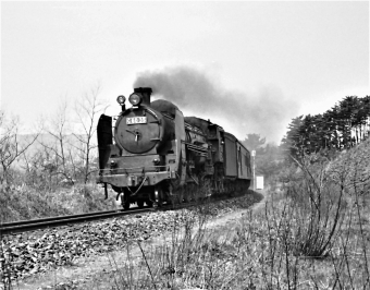 国鉄C60形蒸気機関車 Ｃ60 35 鉄道フォト・写真 by 鉄道のお爺さんさん ：1964年12月03日00時ごろ