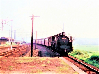 国鉄C60形蒸気機関車 Ｃ60 101 鉄道フォト・写真 by 鉄道のお爺さんさん ：1965年05月27日00時ごろ