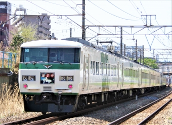 JR東日本 クハ185形 クハ185-102 鉄道フォト・写真 by 鉄道のお爺さんさん ：2014年04月12日10時ごろ