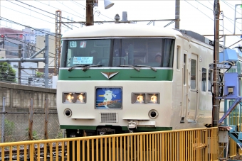 JR東日本 クハ185形 クハ185-102 鉄道フォト・写真 by 鉄道のお爺さんさん ：2013年05月25日10時ごろ