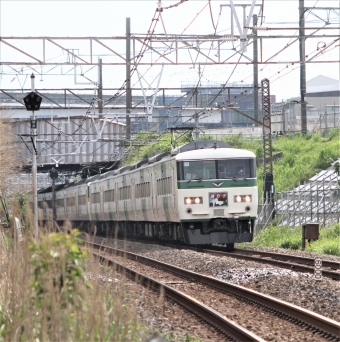 JR東日本 クハ185形 クハ185-102 鉄道フォト・写真 by 鉄道のお爺さんさん ：2014年05月03日14時ごろ
