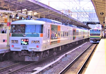 JR東日本 クハ185形 クハ185-106 鉄道フォト・写真 by 鉄道のお爺さんさん ：2014年03月09日10時ごろ