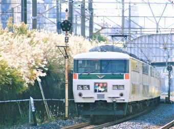 JR東日本 クハ185形 クハ185-109 鉄道フォト・写真 by 鉄道のお爺さんさん ：2005年11月20日12時ごろ