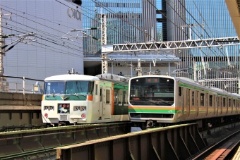 JR東日本 クハ185形とクハE231系 クハ185-110 と クハE231-8040 鉄道フォト・写真 by 鉄道のお爺さんさん ：2013年05月05日09時ごろ