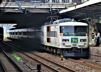 JR東日本 クハ185形 クハ185-111 鉄道フォト・写真 by 鉄道のお爺さんさん ：2014年07月24日08時ごろ