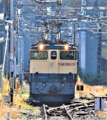 JR貨物 国鉄EF65形電気機関車 EF65 2006 鉄道フォト・写真 by 鉄道のお爺さんさん ：2022年11月02日10時ごろ
