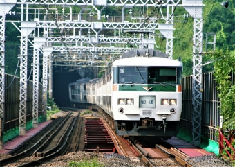クハ185-113 鉄道フォト・写真