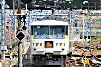 JR東日本 クハ185形 クハ185-209 鉄道フォト・写真 by 鉄道のお爺さんさん ：2013年05月12日09時ごろ