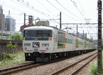 JR東日本 クハ185形 クハ185-112 鉄道フォト・写真 by 鉄道のお爺さんさん ：2013年06月09日12時ごろ