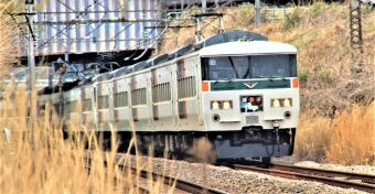 JR東日本 クハ185形 クハ185-112 鉄道フォト・写真 by 鉄道のお爺さんさん ：2013年03月23日11時ごろ