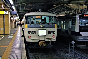 JR東日本 クハ185形 クハ185-202 鉄道フォト・写真 by 鉄道のお爺さんさん ：2008年12月29日19時ごろ